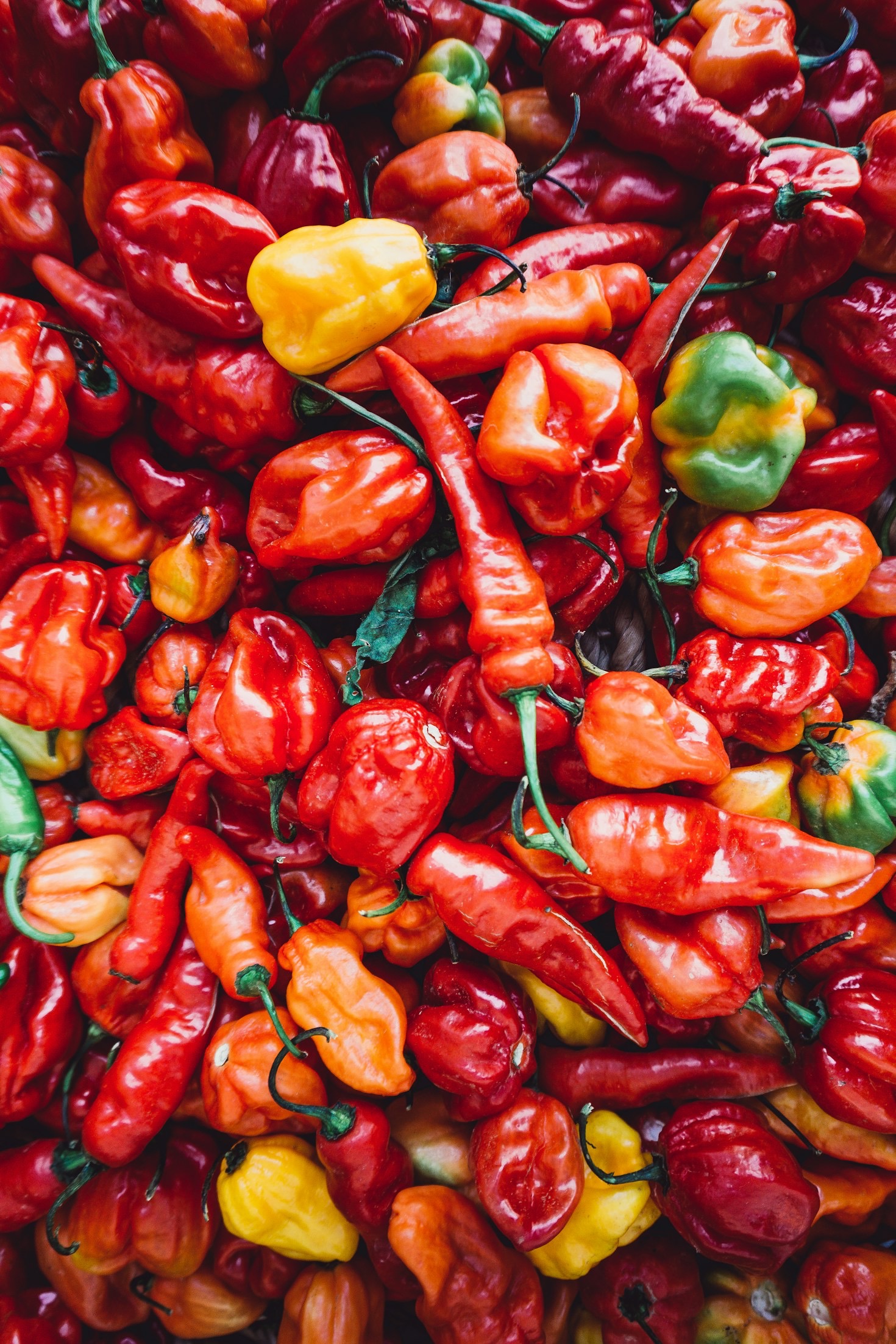 Top 5 Recipes to Pair with Heatwave