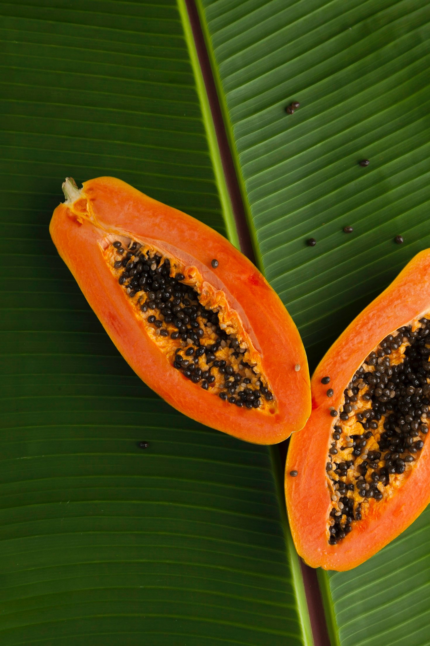 Exploring Caribbean Flavors in Every Bottle